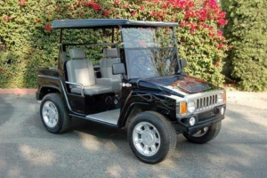 affordable golf cart rental, golf cart rental san francisco, san francisco golf cart rental golf cart rental 